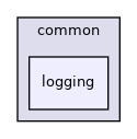onnxruntime/core/common/logging