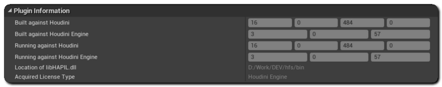 Unreal_SettingsPluginInfo.png